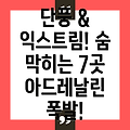 단풍과 익스트림 스포츠! 숨 막히는 풍경과 아드레날린 넘치는 즐거움을 동시에 누릴 베스트 7 여행지