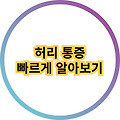 허리 통증의 원인과 관련 질환 그리고 예방방법 치료방법 올바른 자세 알아보기