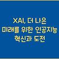 XAI, 더 나은 미래를 위한 인공지능 혁신과 도전