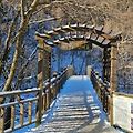 겨울 푸른숲 산책하기(가평 강릉 우이동 평창)