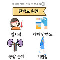 [건강 정보]소변의 거품, 단순한 문제일까? 거품뇨(단백뇨)의 원인과 효과적인 치료 방법 알아보기