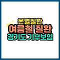 여름철 질환 증상과 응급처치 예방부터 경기도 기후보험 활용까지
