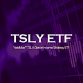 TSLY ETF 배당금 입금 내역 (2024년 05월)