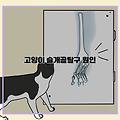 고양이 슬개골탈구 원인은 무엇일까요?