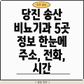 당진시 송산면 비뇨기과 5곳 정보: 주소, 전화번호, 운영시간