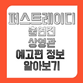 영화 퍼스트레이디 출연진 상영관 예고편 정보 예매하기