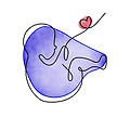 임산부를 위한 건강기능식품 원료: 엽산, 오메가-3, 콜린의 중요한 역할