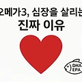 오메가3, 심장을 살리는 진짜 이유