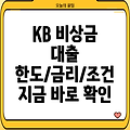 국민은행 비상금 신용대출 2024: 한도, 금리, 조건, 필요서류 총정리