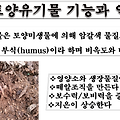 토양유기물, 그 숨은 힘을 알아보자!