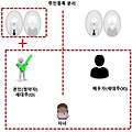 부모님 주소지 이전 기록, 부양가족 인정에 영향 미칠까?