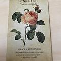 Botanical Inspirations - Pink Rose / 보태니컬 인스퍼레이션 - 분홍 장미