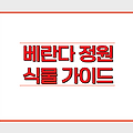 베란다 정원, 어떤 식물을 심어야 할까요? : 햇빛, 공간, 관리 난이도