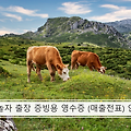 [일상생활] 야놀자 출장 증빙용 영수증 (매출전표) 인쇄
