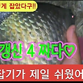 오늘은 25년 기록!!/ 똥바람에 뗏장 포켓에서 입질 그리고 4짜 붕어 한방~~