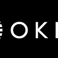 오클로[OKLO], AI시대에는 소형 모듈형 원자로가 전력 혁신을 이끈다