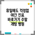 정부과천청사역 휴일 병원 찾기|야간진료 병원|공휴일 문여는 곳 |주말 여는 곳