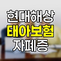 현대해상 태아보험 성장기 자폐증 진단 보험 상세 분석
