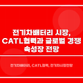 전기차 배터리 시장, CATL 협력과 글로벌 경쟁 속 성장 전망