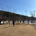 [대전반려동물공원]중소형견놀이터/무료애견운동장/강아지들의천국
