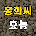 홍화씨 효능 총정리
