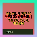 귓볼 부음, 왜 그럴까요? 원인과 대처 방법 총정리 | 귓볼 통증, 붓기, 멍, 치료, 관리