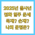 2025년 을사년 정화 일주 운세 득재? 손재? 나의 운명은?