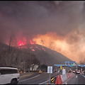 산불 기부 감동