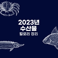 2023 수산물 칼로리 정리