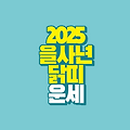 2025년 을사년 닭띠 운세｜45년생 57년생 69년생 81년생 93년생