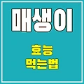 매생이의 놀라운 효능과 맛있게 먹는 방법