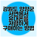 강원도 양양군 서면에서 휴대폰을 저렴하게 구매하는 방법