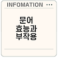 문어의 효능과 부작용은 무엇일까