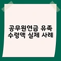 공무원연금 유족 수령액 실제 사례