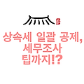 상속세 일괄공제, 17억 상속받고 세금 0원 내는 법 (feat. 상속공제, 절세전략, 세무조사)
