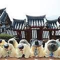 유교문화란?