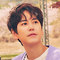 규현 프로필, 가수, 본명, 나이, 키, 학력, 데뷔, 슈퍼주니어, 솔로 활동, 인기 노래, 수상 경력