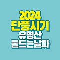 2024 단풍 시기｜유명산 단풍 물드는 날짜