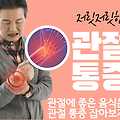 관절염에 좋은 음식, 관절 튼튼 백세 건강. 관절염을 잡아 보자