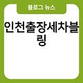 인천출장세차 출장세차 블링 인천출장스팀세차