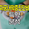 한화손해보험 자궁내막증 진단비 특약 심층분석