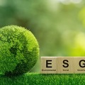 ESG 경영이란