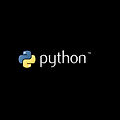 Python - isinstance()