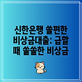 신한은행 쏠편한 비상금대출: 급할 때 쏠쏠한 비상금