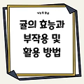 귤의 효능과 부작용 및 활용 방법을 통한 건강 관리