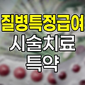 현대해상 질병특정급여시술치료 특약의 핵심 보장