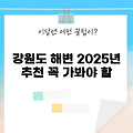 2025년 꼭 가봐야 할 강원도 해수욕장 추천 7곳!
