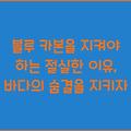 블루 카본을 지켜야 하는 절실한 이유, 바다의 숨결을 지키자