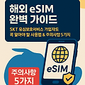 해외 eSIM 완벽 가이드: SKT 유심보호서비스 가입자도 꼭 알아야 할 사용법 & 주의사항 5가지