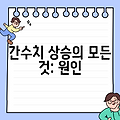 간수치 상승의 모든 것: 원인